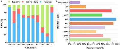 Investigation of antibiotic resistance genotypic and phenotypic characteristics of marine aquaculture fish carried in the Dalian area of China